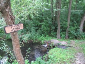 Родник «Отрог» или Солонцовский родник
